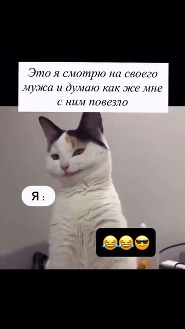 MOV_20260418_123559_322.mp4