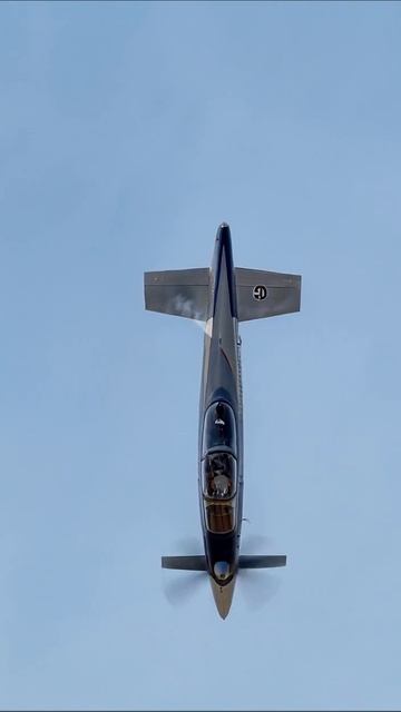 Удивительные трюки на самолете #авиаспорт #экстрим #флайт