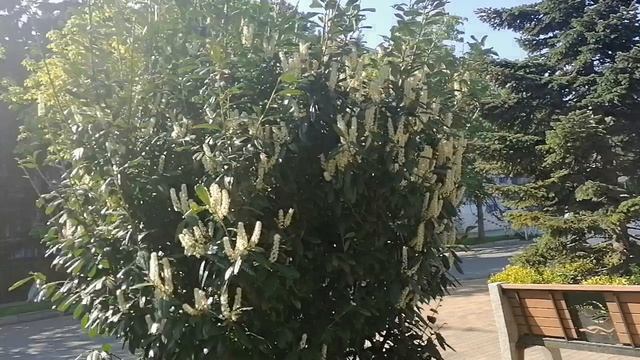 Анапа сегодня. 💕 Море. Малая Бухта 20 апреля 2026