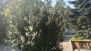 Анапа сегодня. 💕 Море. Малая Бухта 20 апреля 2026