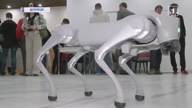 II фестиваль робототехники в Донецке