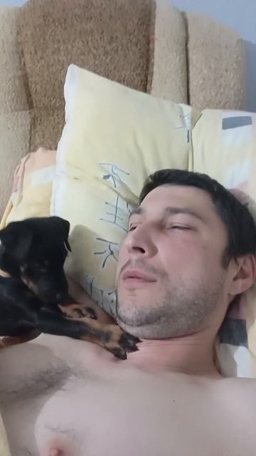 Как мы с Афиной ложимся спать 😅