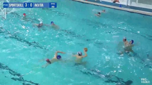 Обзор игры | SportSkill - Белая Акула | 19.04.2026