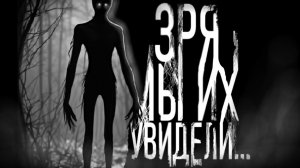 Зря мы их увидели. Страшные истории на ночь. Мистика. Страшилки на ночь.