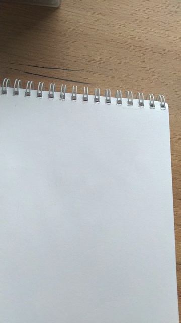 VID_20260420_130504.mp4