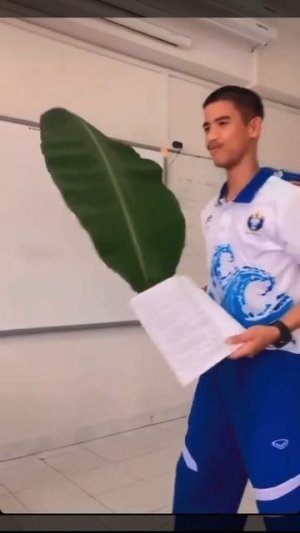 Приколы