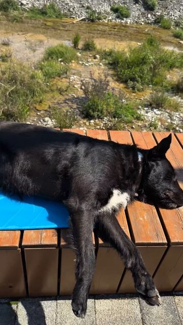 Терапия_няшностью