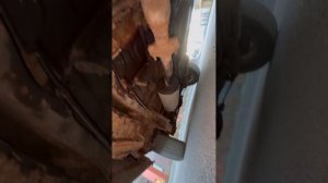 Микроавтобус