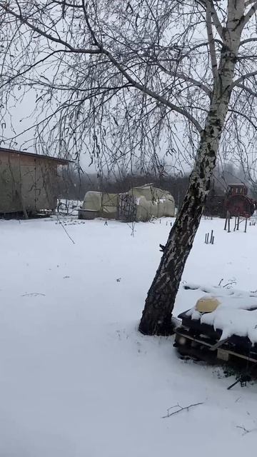 Вот так апрель!!!