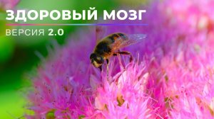 Здоровый Мозг & Идеальная Память | Саблиминал