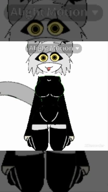 соня когда кошка