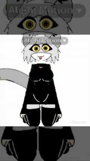 соня когда кошка