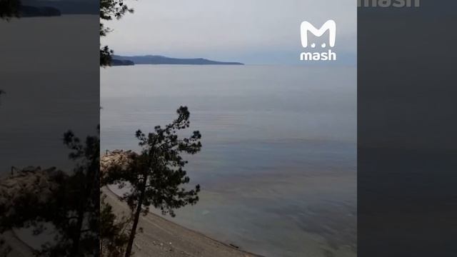 20-04-2026.Огромное нефтяное пятно движется в сторону Туапсе.