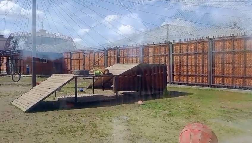 UGOY3772 Видео от Ивана 20.04.2026