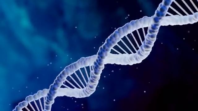 Матрица Гаряева_Омоложение Организма После 50 лет_Для Замедления Старения