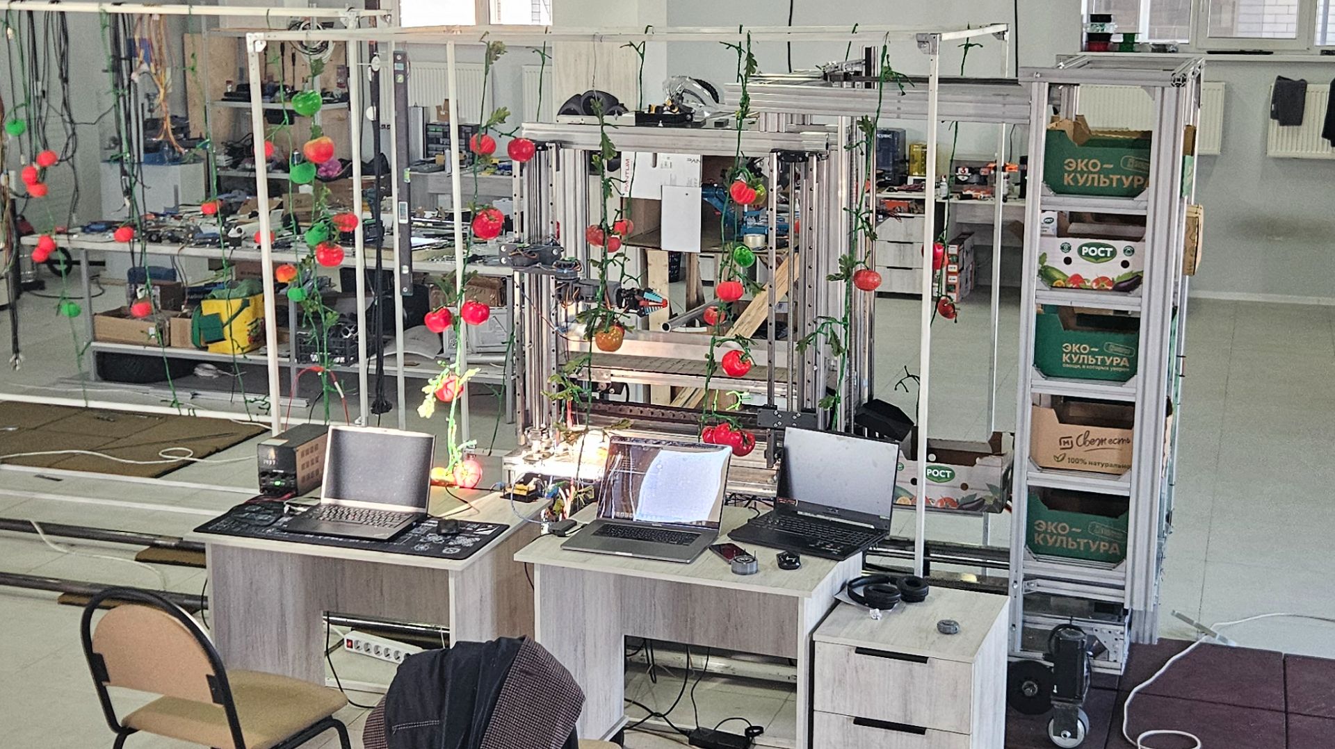 Система складирования робота для сбора томатов в тепличных комплексах