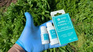 🔥 Дамба + Форвард: двойной гербицидный удар по любым сорнякам (включая борщевик!)