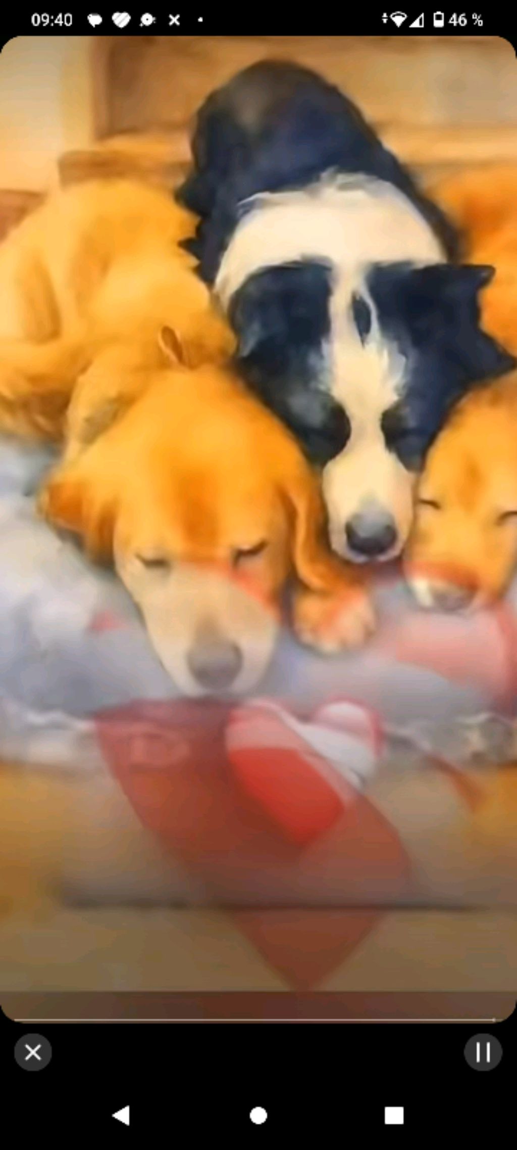 привет, я Амелия, я люблю своих подписчиков, они ставят лайков, я к тебе скоро приеду. у меня будет