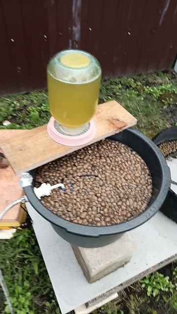 тёплая поилка-автомат для пчёл.