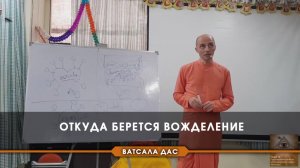 Откуда берется вожделение