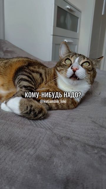 Накопилось много советов😸
