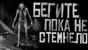 БЕГИ ПОКА НЕСТЕМНЕЛО.. Страшные истории на ночь.