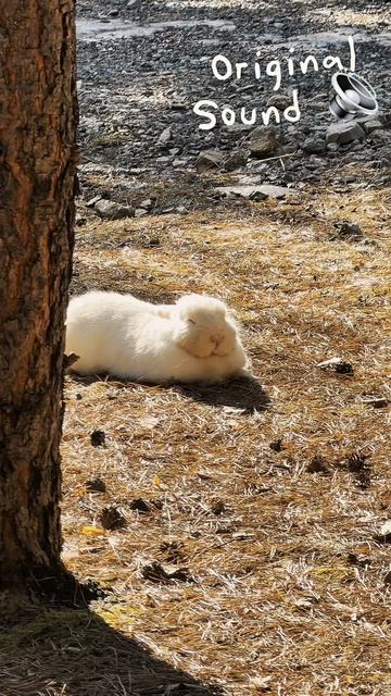 ЭТО ЛУЧШЕЕ, ЧТО Я МОГЛА СДЕЛАТЬ ДЛЯ ВОССТАНОВЛЕНИЯ СВОЕЙ НЕРВНОЙ СИСТЕМЫ