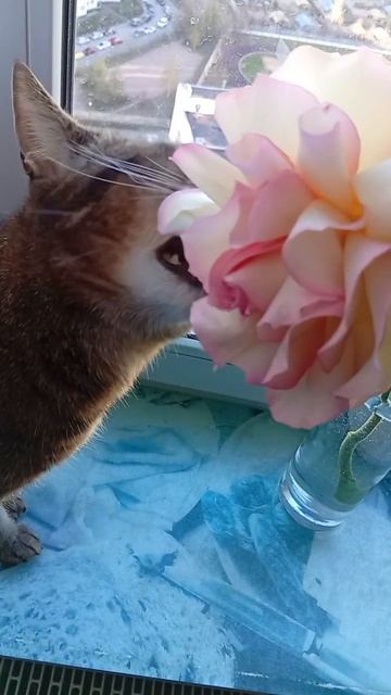 Михей ням🤤😉😆💕