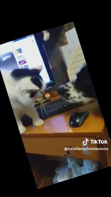 Как прошел мой год?...)))