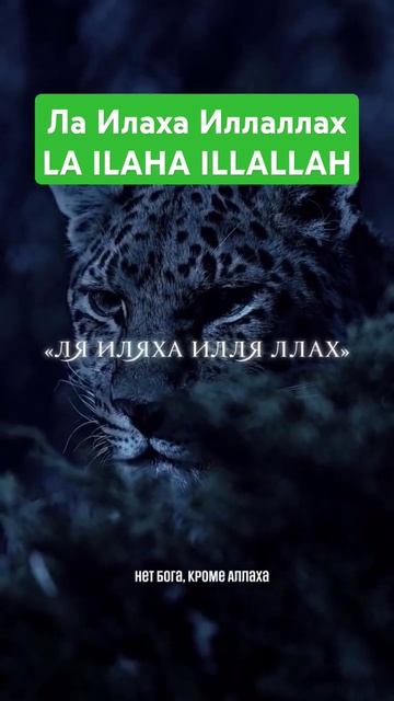 Ла Илаха Иллаллах