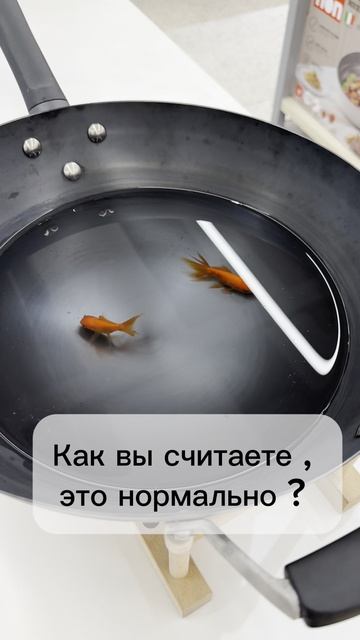 Это вообще нормально | AiRobix Logistics