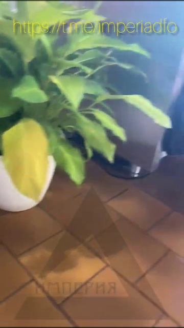 ИНСПЕКТОРу от подписчика