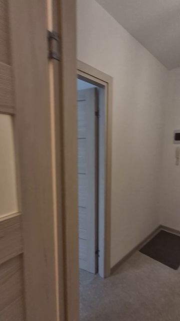 1ккв СПБ пр.Ветеранов д.183.mp4