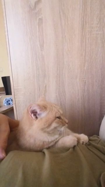 Рассказ про бывшую бездомную 😊