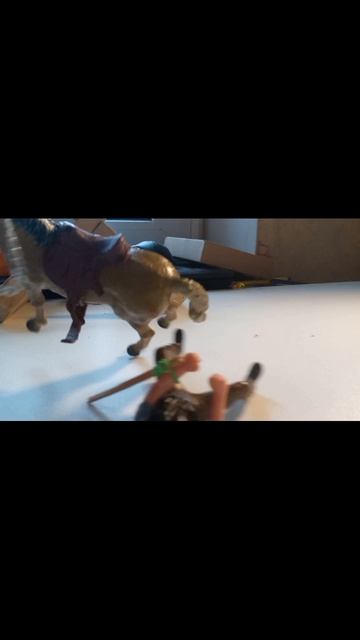 занятия на Принцы(фигурки лошадей)