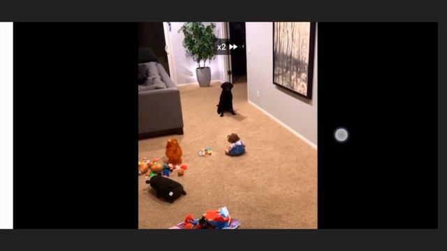 тик ток не детям