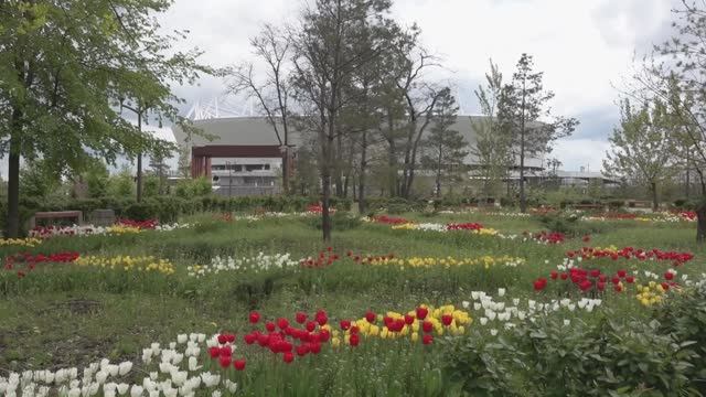 Ростов-на-Дону Парк Левобережный Апрель 2026