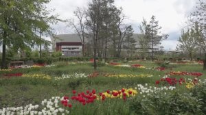 Ростов-на-Дону Парк Левобережный Апрель 2026