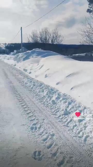 Слишком много снега в деревне