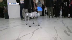 🧹Искусственный интеллект: друг, соперник или проводник в будущее? Фестиваль робототехники в ДНР!