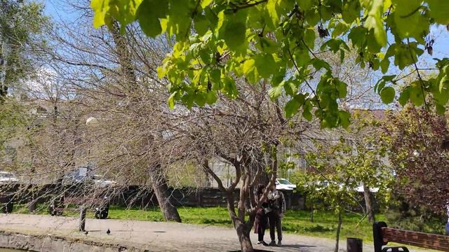 ГОРОДСКОЙ САД.  Приглашаю на прогулку!