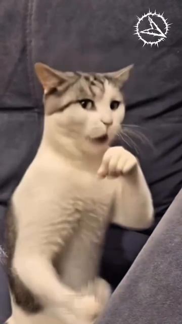 Каждый уважающий себя мужчина 💪 #курсор #каждыйсходитсумапосвоему #мужчины #типичныймужик