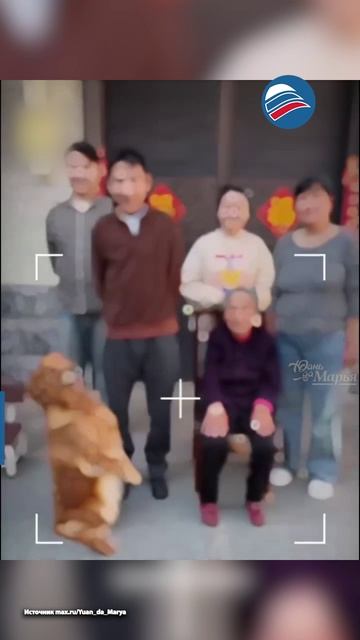 Ежегодное фото семьи из Хэнань стало вирусным благодаря четвероногому участнику