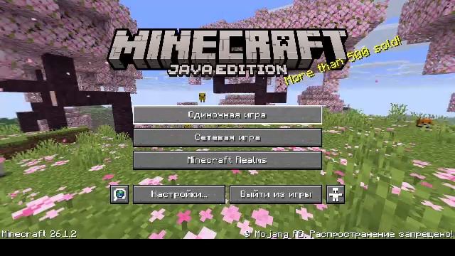Играю в Minecraft