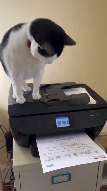 Нервная печать