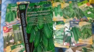 Коллекция огурчиков👌/ выбрала на 2026год👍