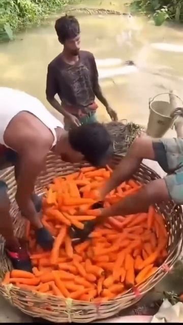 MOV_20260418_123411_937.mp4