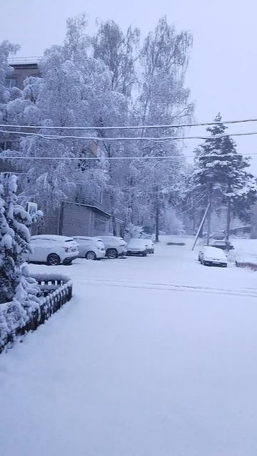 5ч.15 мин. Выпал и идёт снег а 20.04.2026г.