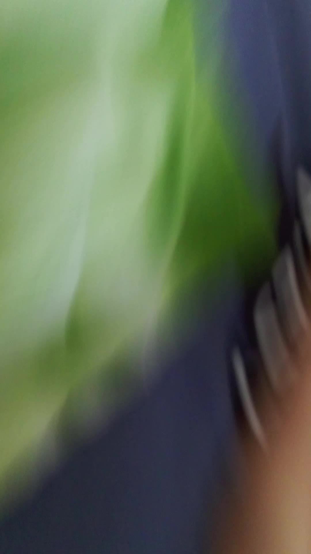 теперь мои любимые подписчики