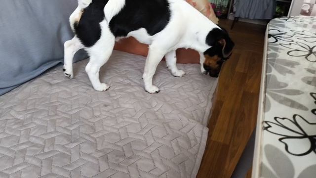 дальнобой везём салфетки доделал грузовик детский